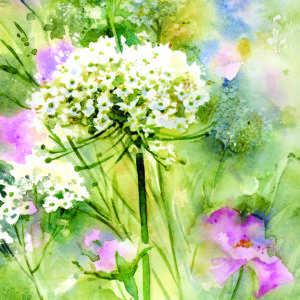 The Flower Meadow, a Card by Julie King