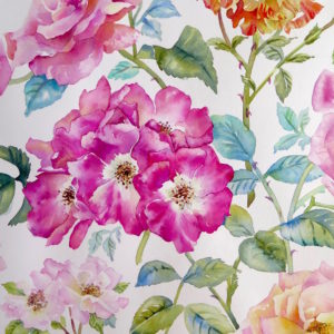 Rose Mix, a card by Julie King