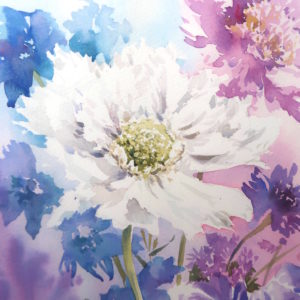 Scabious, a card by Julie King