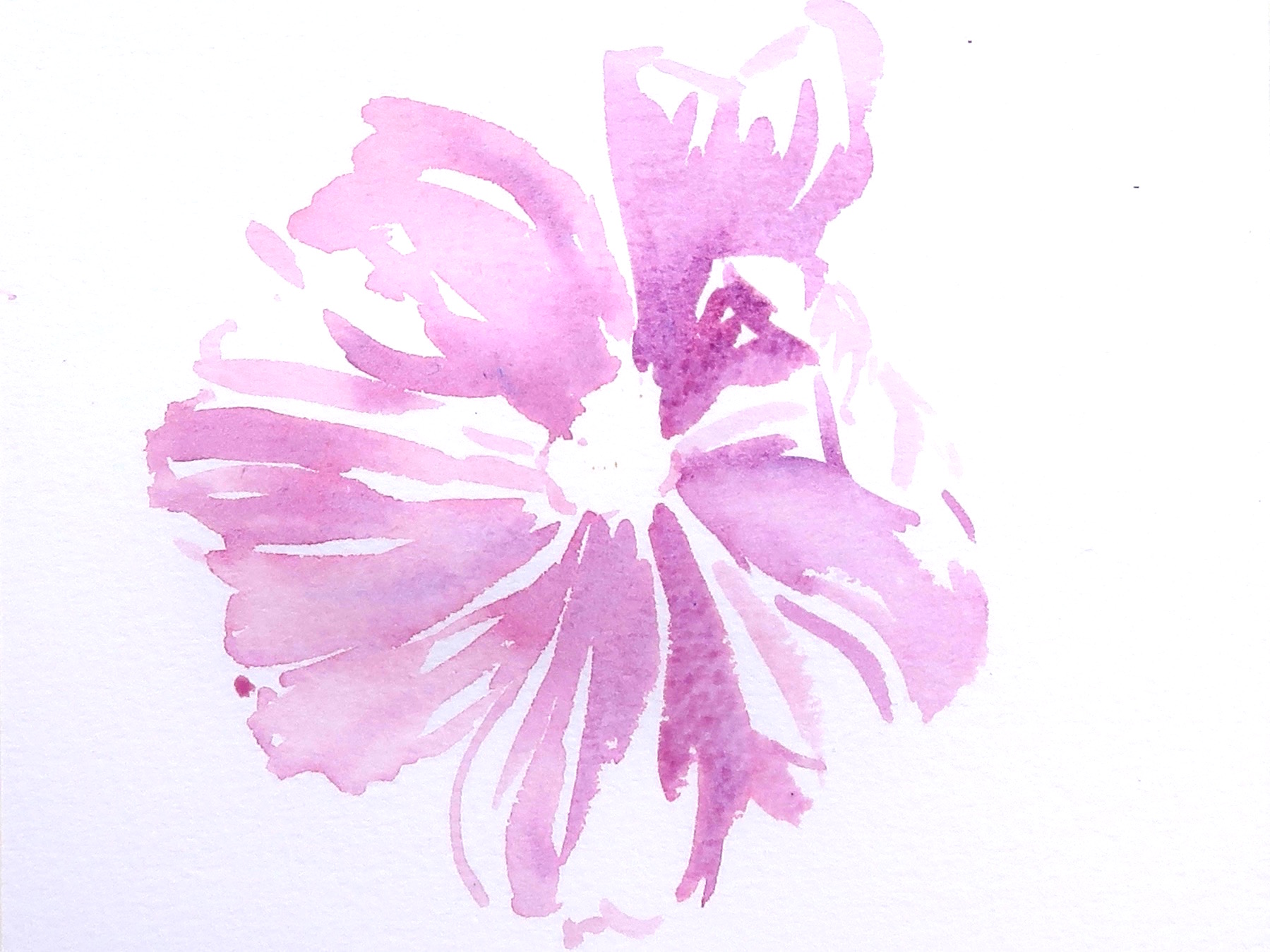 Seven Step Cosmos Step 1