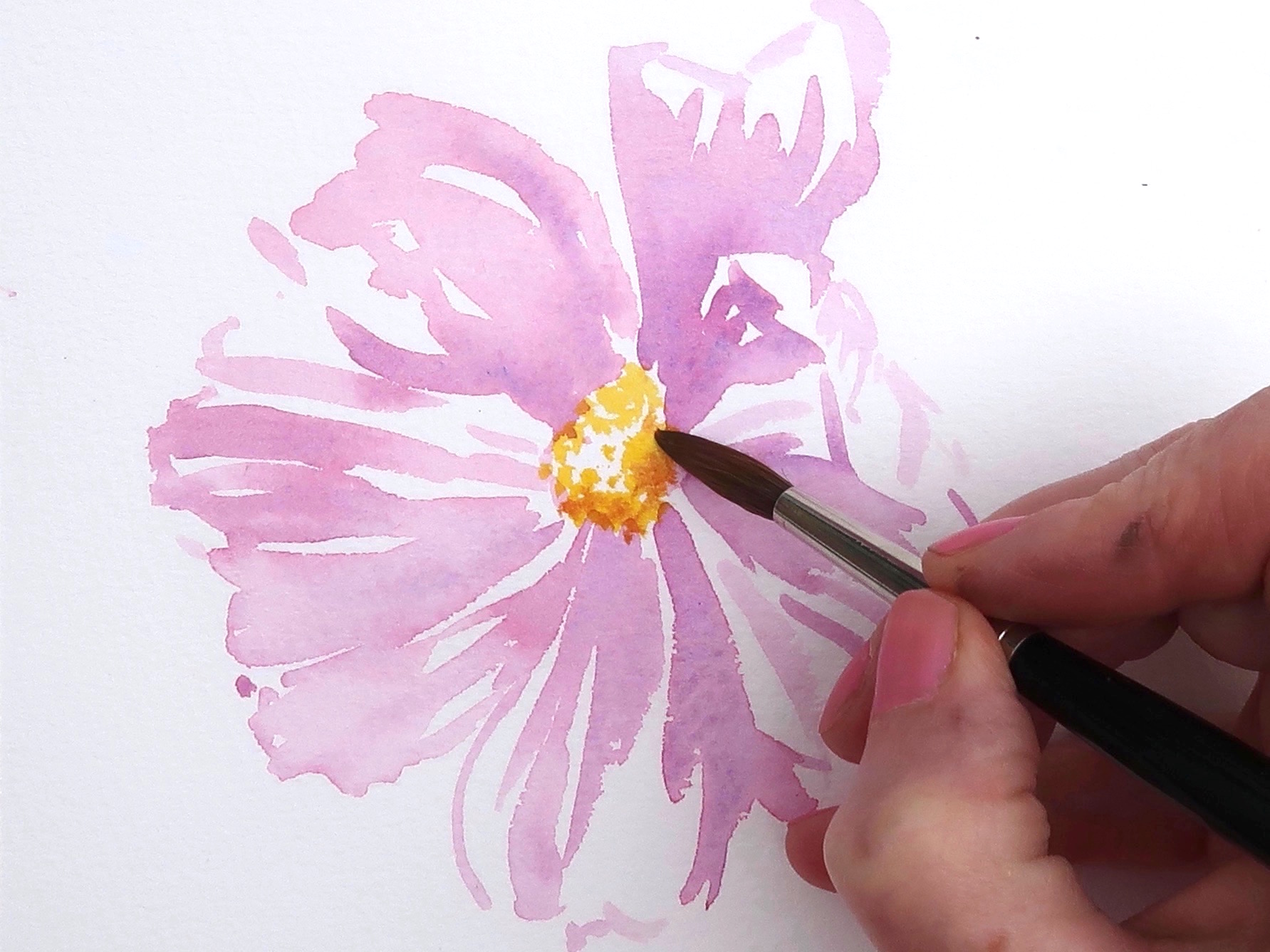 Seven Step Cosmos Step 2