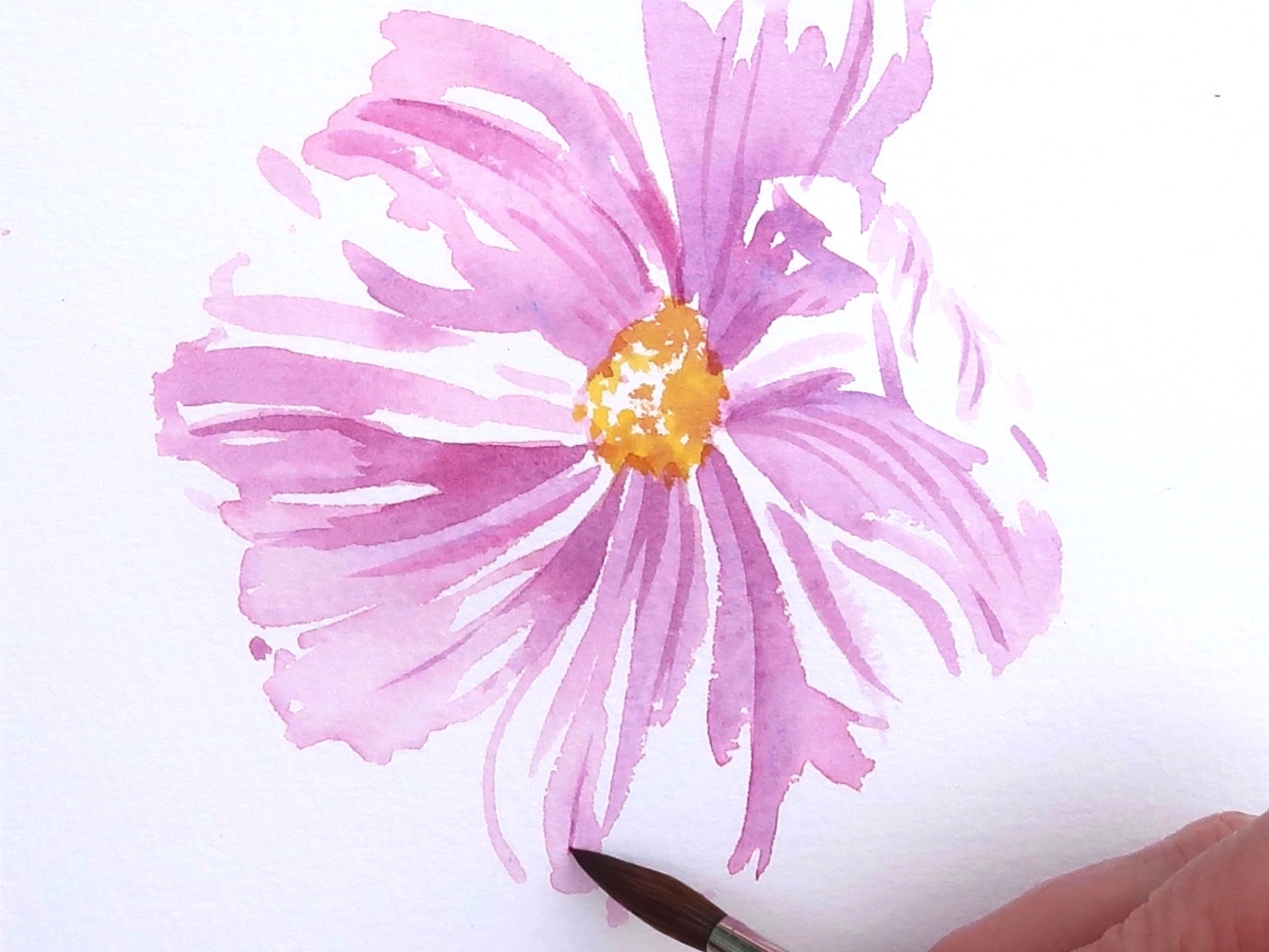 Seven Step Cosmos Step 1Seven Step Cosmos Step 3