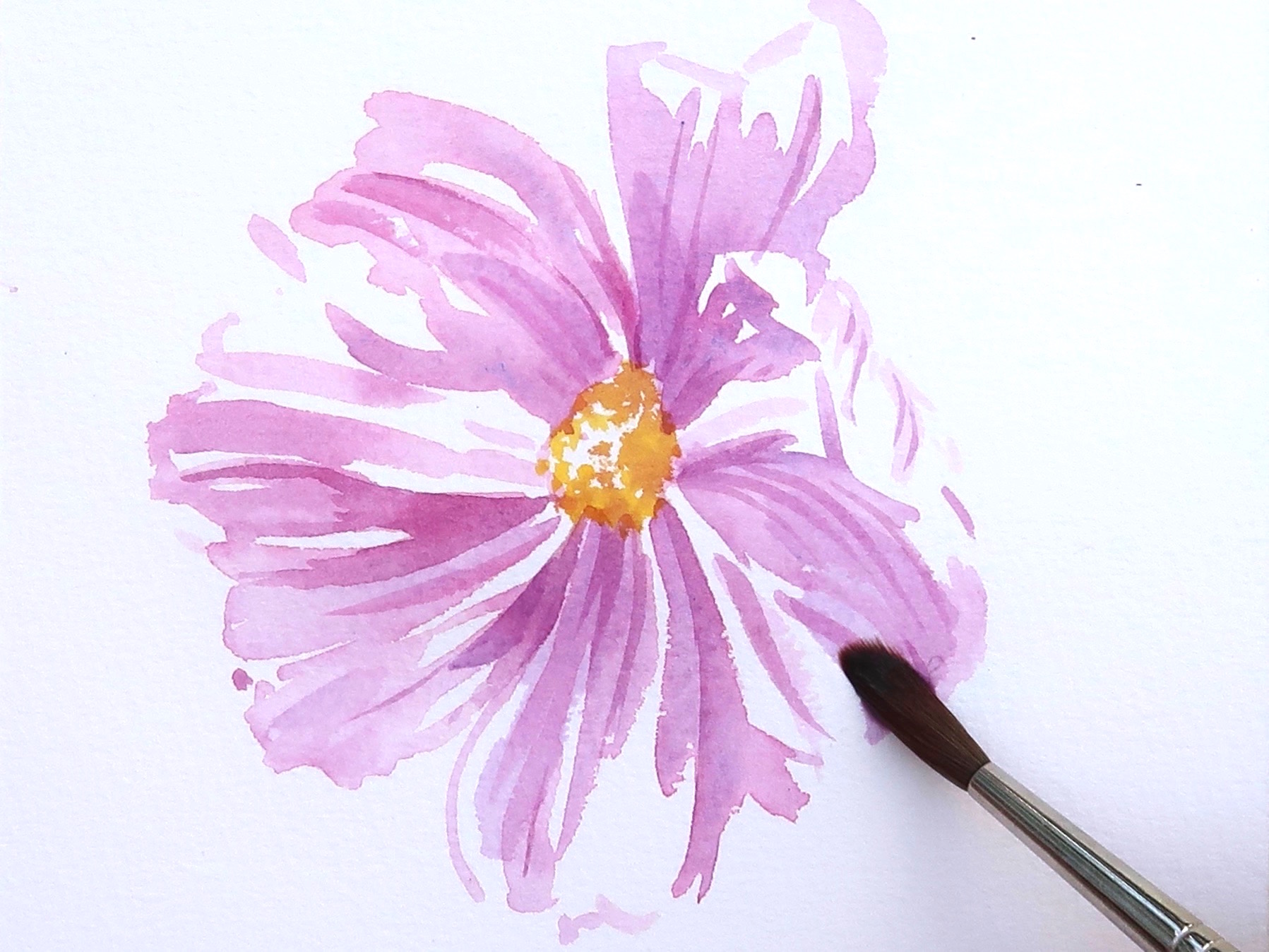 Seven Step Cosmos Step 4