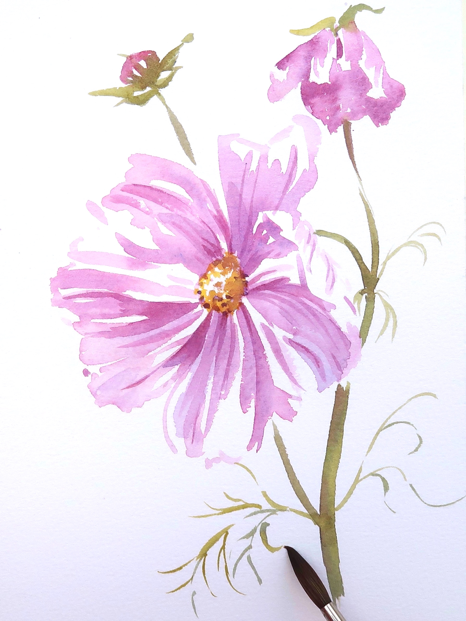 Seven Step Cosmos Step 6