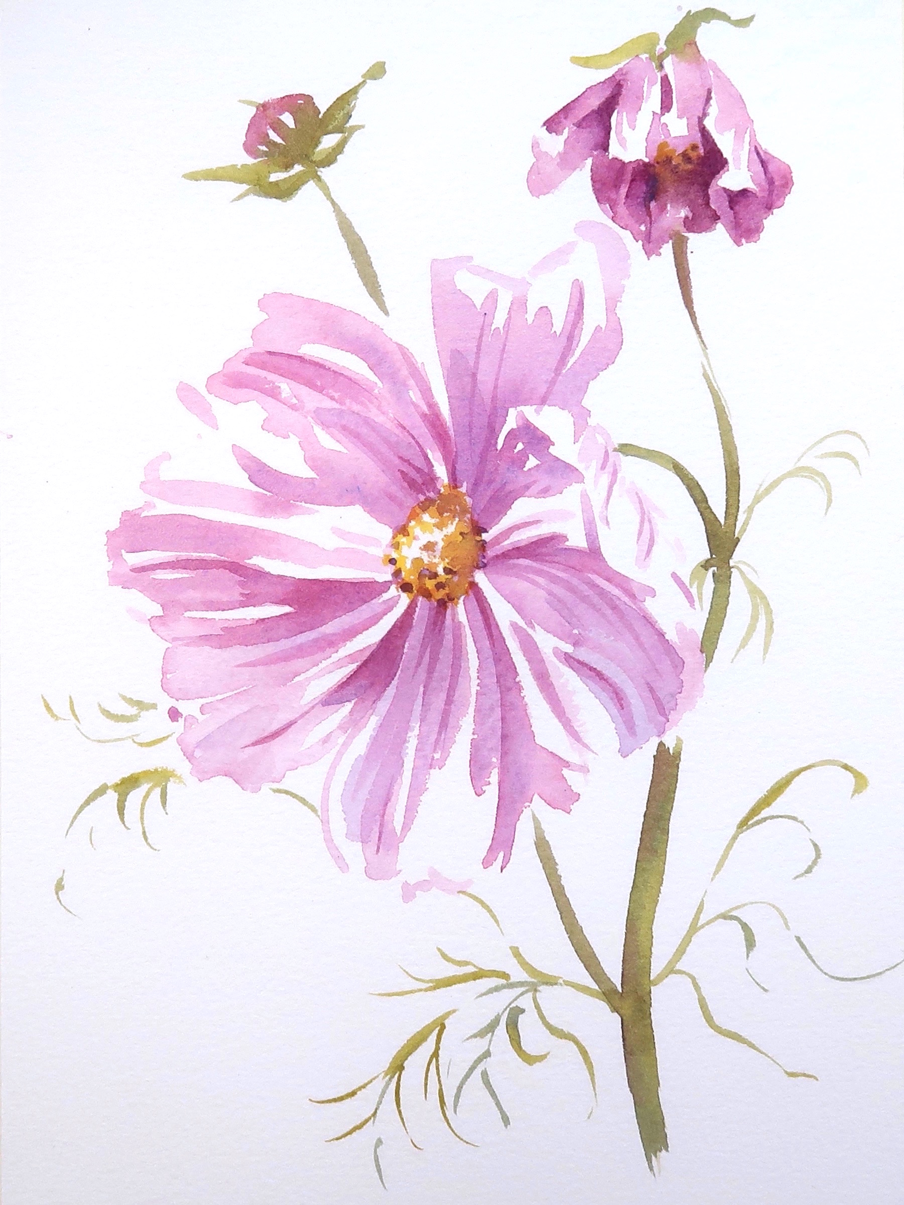 Seven Step Cosmos Step 7