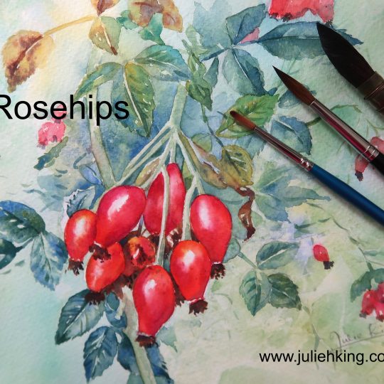 Rosehips