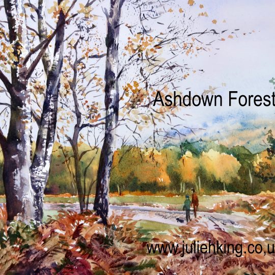 Ashdown Forest in Autumn